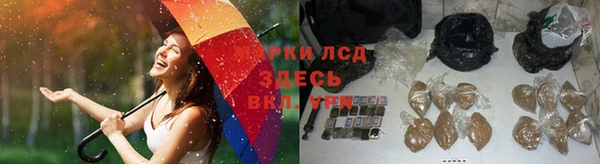 ПСИЛОЦИБИНОВЫЕ ГРИБЫ Липки