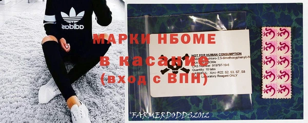 ПСИЛОЦИБИНОВЫЕ ГРИБЫ Липки