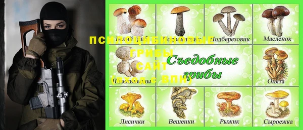 таблы Лабытнанги