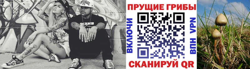 купить  цена  Малая Вишера  blacksprut ONION  Псилоцибиновые грибы Magic Shrooms 